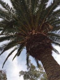 thumbnail_IMG_2979[1]