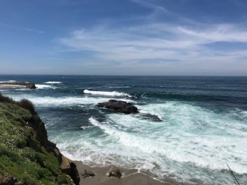 La Jolla 1